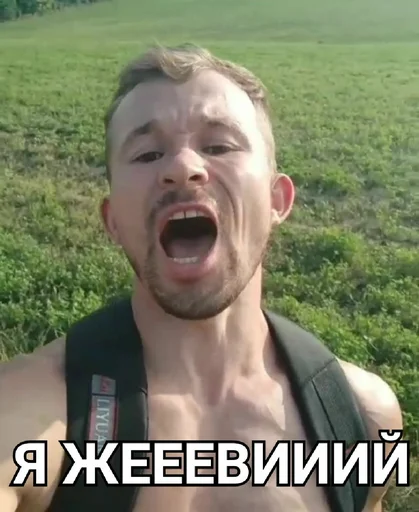 Стикерпак МОТІВАТОР ПЕТРО для Telegram — скачать