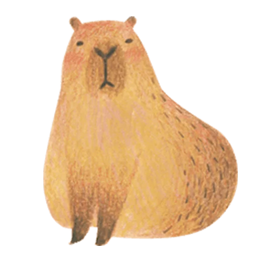 Стикерпак Mr. Capybara для Telegram — скачать