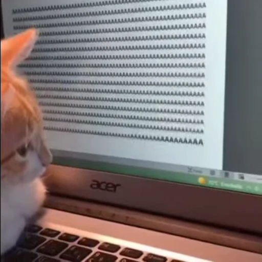 😱 Стикер «mrktcats 2» для Telegram