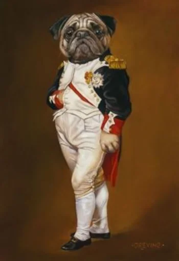 🐶 Стикер «Mr Mrs Miss Queen King» для Telegram