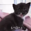 😧 Эмодзи «📒 Кьют эмоджи» для Telegram