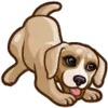 🐶 Эмодзи «Симсик» для Telegram