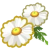 🌼 Эмодзи «Симсик» для Telegram