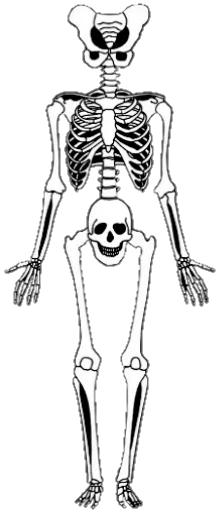 💀 Стикер «Mrzyk&Moriceau2» для Telegram
