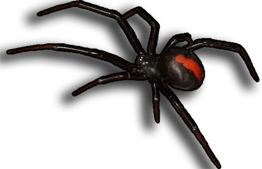 Стикерпак Spiders для Telegram — скачать