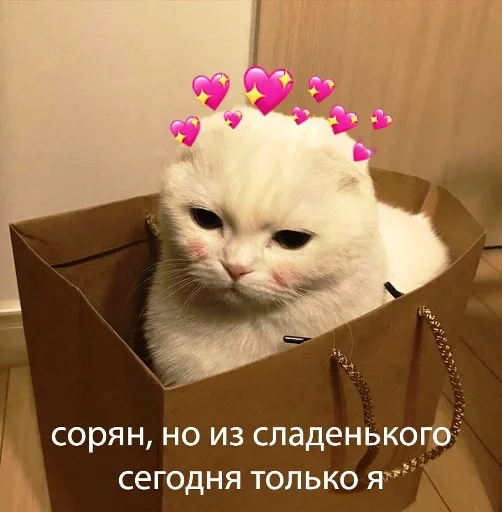 Стикерпак Mudblood для Telegram — скачать