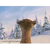 🤩 Эмодзи «Мультфильм» для Telegram