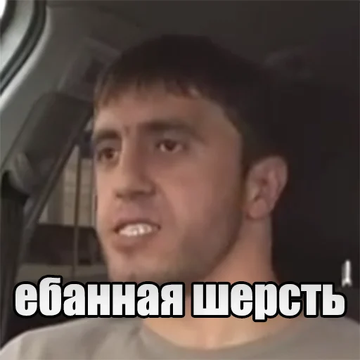 🤬 Стикер «Мурад легенда» для Telegram