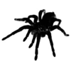 ♠️ Эмодзи «murgine maitse art» для Telegram