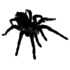 ♠️ Эмодзи «murgine maitse art» для Telegram