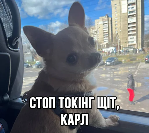 🧐 Стикер «МурМарсік» для Telegram