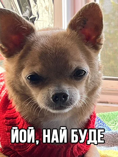 👍 Стикер «МурМарсік» для Telegram
