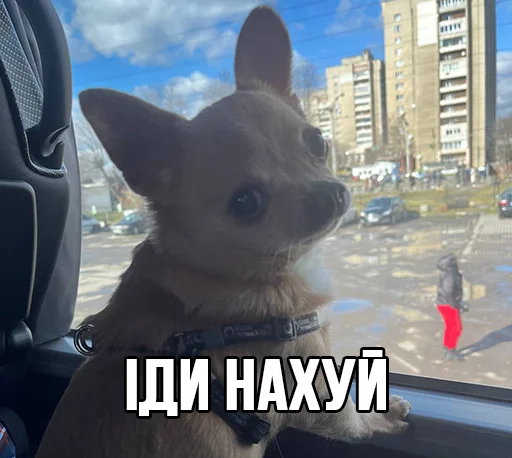 👉 Стикер «МурМарсік» для Telegram