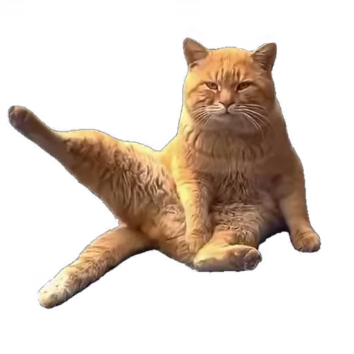 😂 Стикер «мур мур» для Telegram