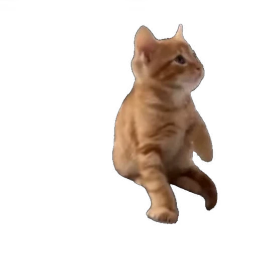 🐱 Стикер «мур мур» для Telegram