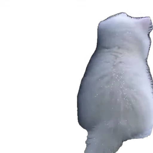 🐱 Стикер «мур мур» для Telegram