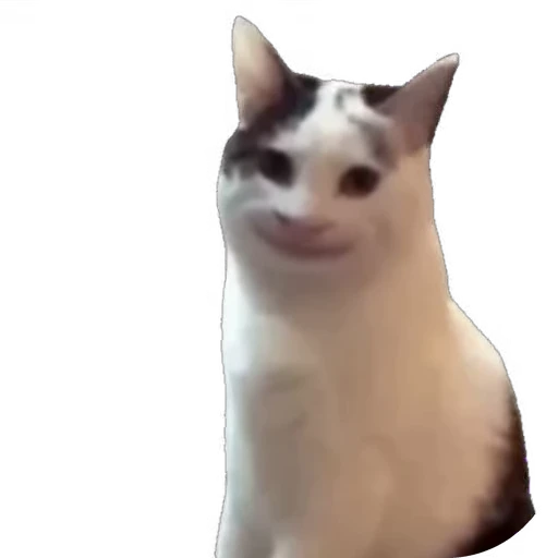 😹 Стикер «мур мур» для Telegram