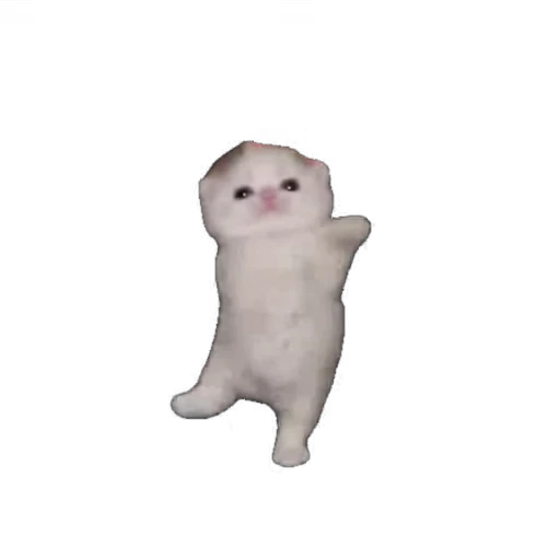 🐱 Стикер «мур мур» для Telegram