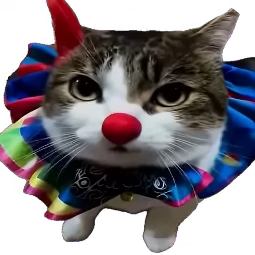 🤡 Стикер «мур мур» для Telegram