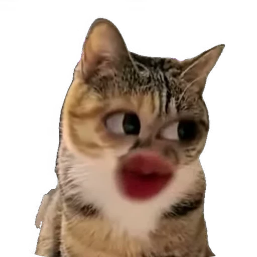 😻 Стикер «мур мур» для Telegram