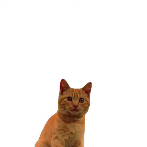 🐱 Стикер «мур мур» для Telegram