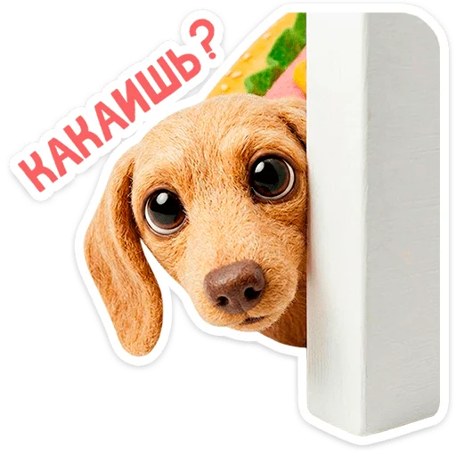 🐶 Стикер «Горчуня» для Telegram