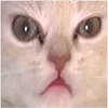 😐 Эмодзи «memes» для Telegram