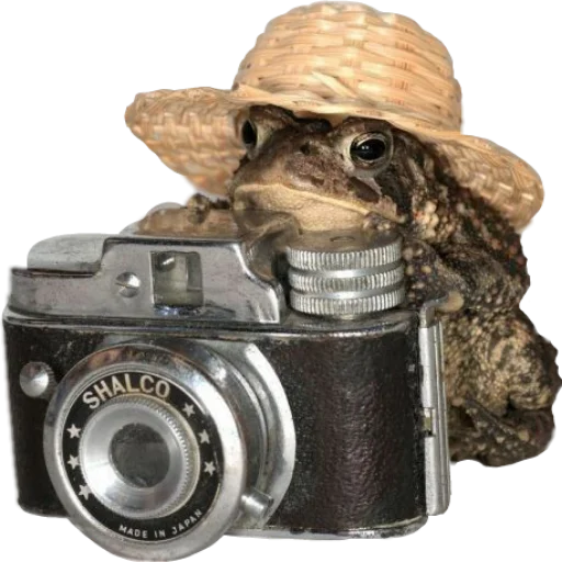 📷 Стикер «жабки!!» для Telegram