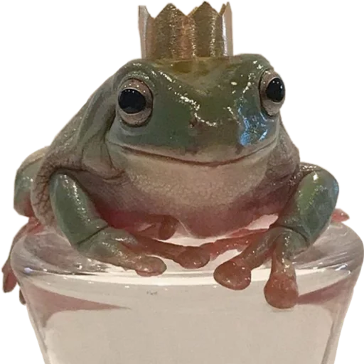 👑 Стикер «жабки!!» для Telegram