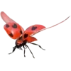 🐞 Эмодзи «My Wonderland Is» для Telegram