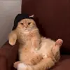 😎 Эмодзи «Мяу Мяу» для Telegram