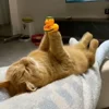 🥹 Эмодзи «Мяу Мяу» для Telegram