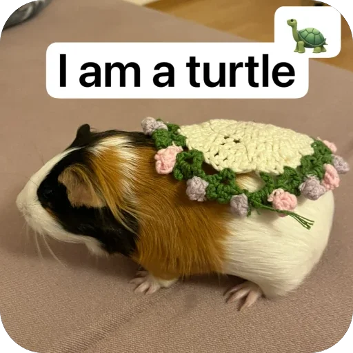 🫥 Стикер «Guinea Pig» для Telegram
