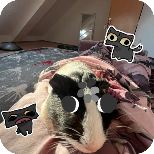 🌀 Стикер «Guinea Pig» для Telegram