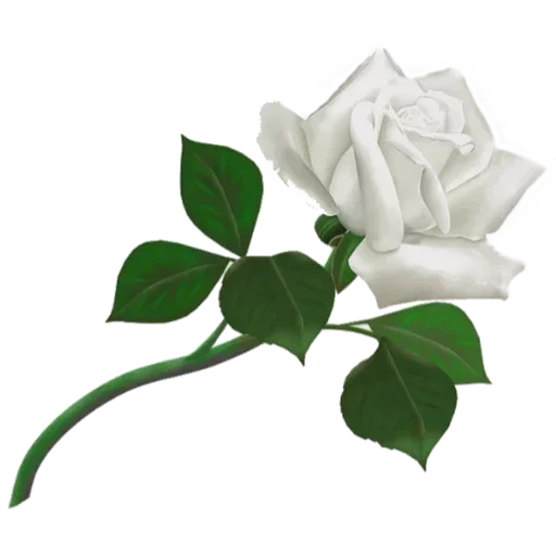 🤍 Стикер «White Белые» для Telegram