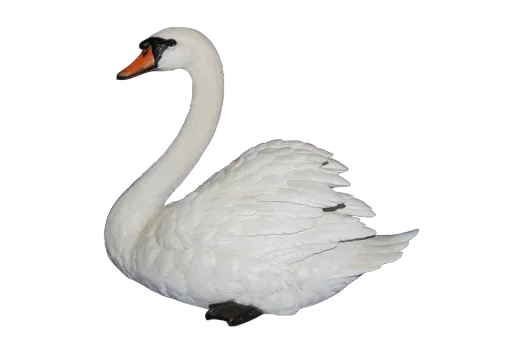 🦢 Стикер «White Белые» для Telegram