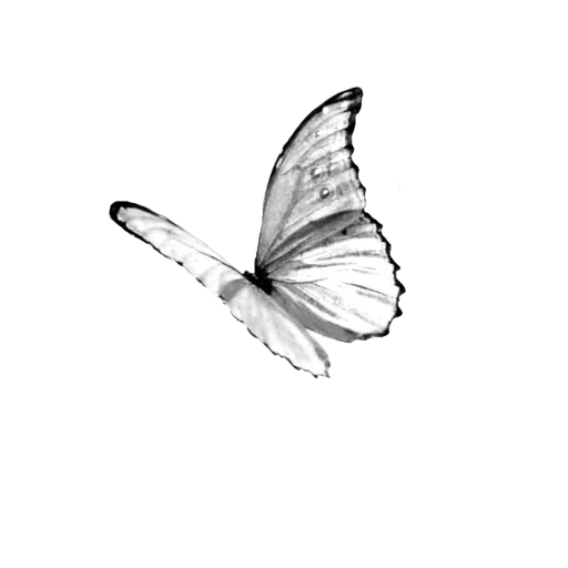 🦋 Стикер «White Белые» для Telegram