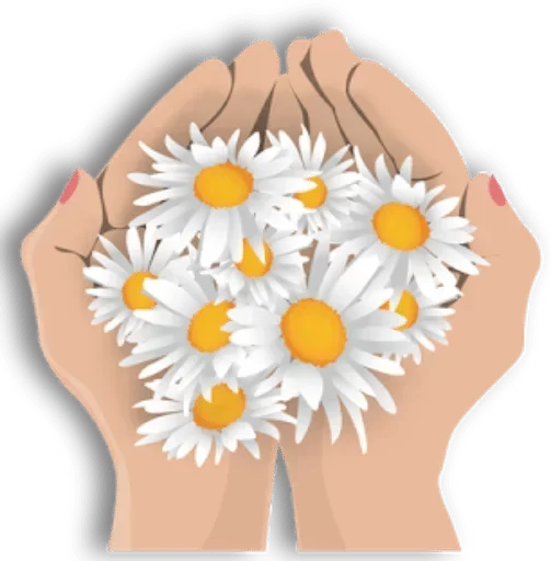 🌸 Стикер «White Белые» для Telegram