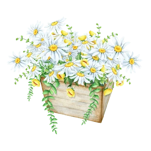 🌸 Стикер «White Белые» для Telegram