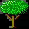🌳 Эмодзи «ОАО "Красивые люди 3" #status» для Telegram