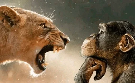 🌟 Стикер «на все случаи жизни» для Telegram