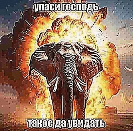 🤩 Стикер «на все случаи жизни» для Telegram