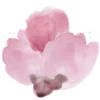 🌸 Эмодзи «Надень Шапку» для Telegram