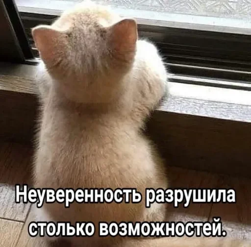 🧠 Стикер «Голые бляди.» для Telegram
