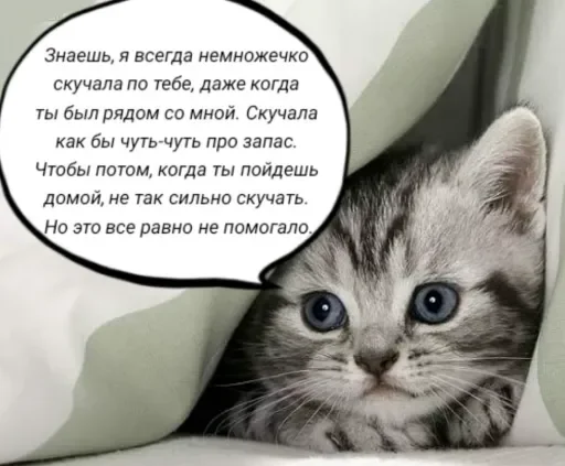 🧠 Стикер «Голые бляди.» для Telegram
