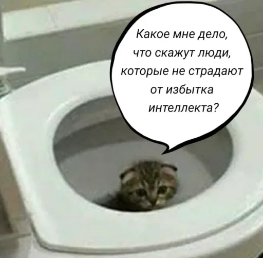 🧠 Стикер «Голые бляди.» для Telegram
