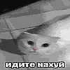 🖕 Эмодзи «пизда» для Telegram