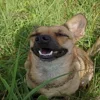 😄 Эмодзи «пизда» для Telegram