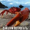 🍆 Эмодзи «пизда» для Telegram