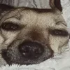 ☺️ Эмодзи «пизда» для Telegram